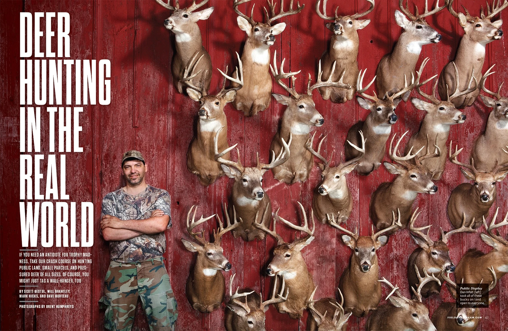 A spread photo from the Field and Stream September 2013 issue showing hunter Dan Infalt with a wall of trophy bucks.