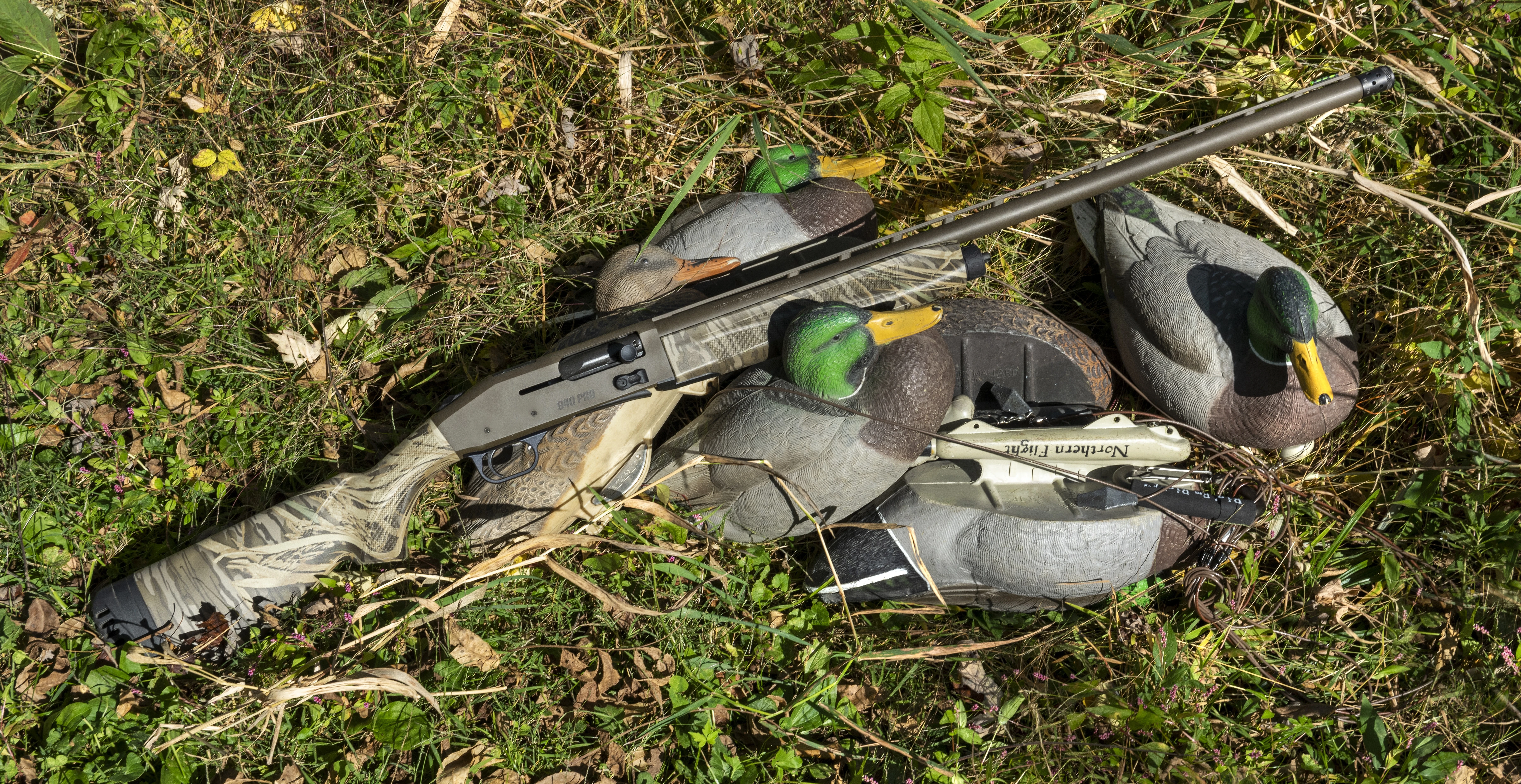 The new Mossberg 940 Pro Waterfowl shotgun on grass with duck decoys. 