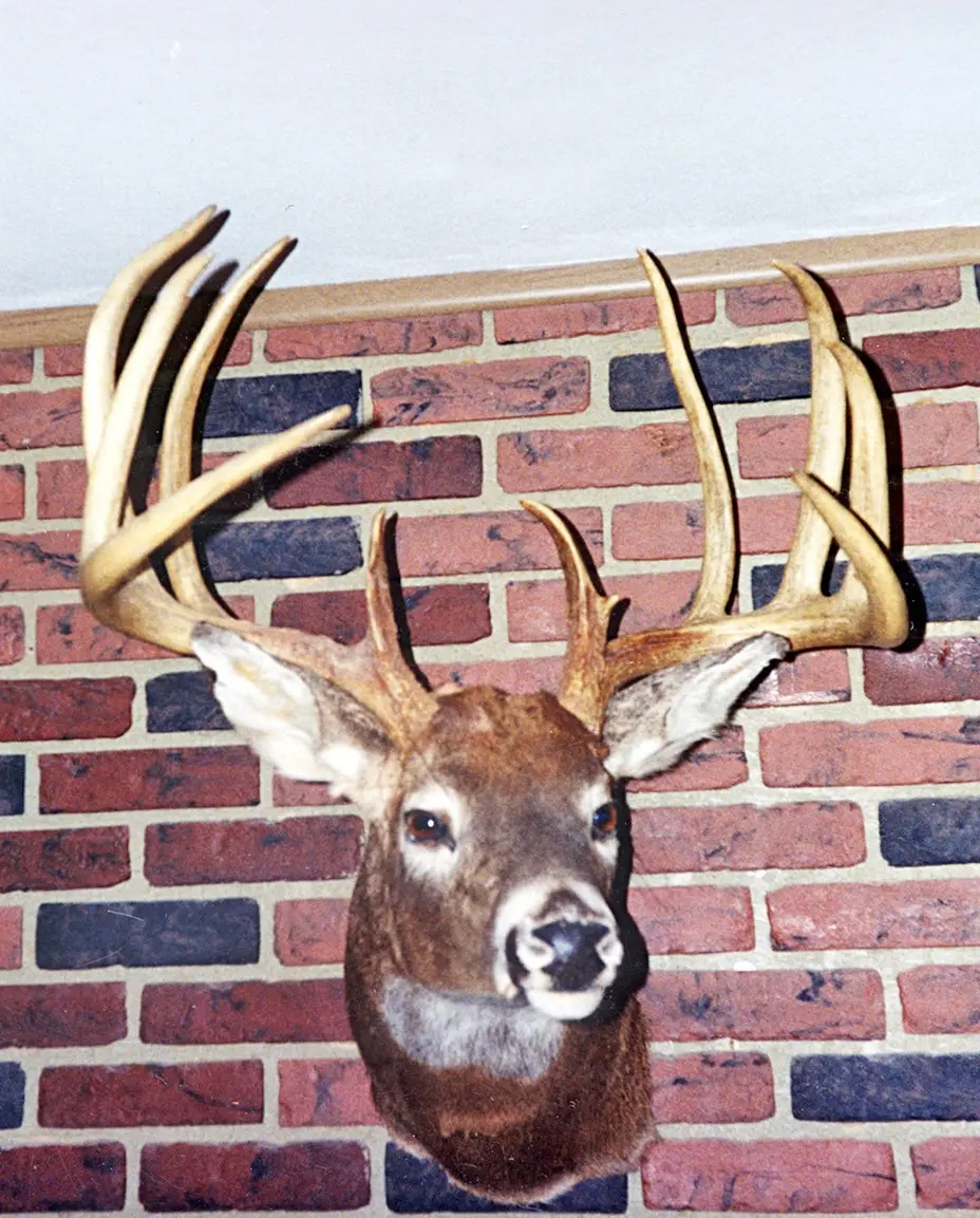 B&amp;C record whitetail deer from Delaware