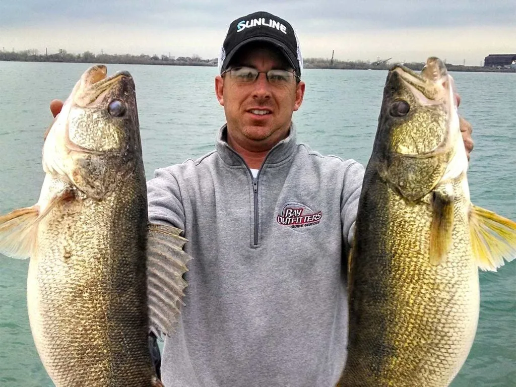 man holding up two giant saginaw bay wallleye