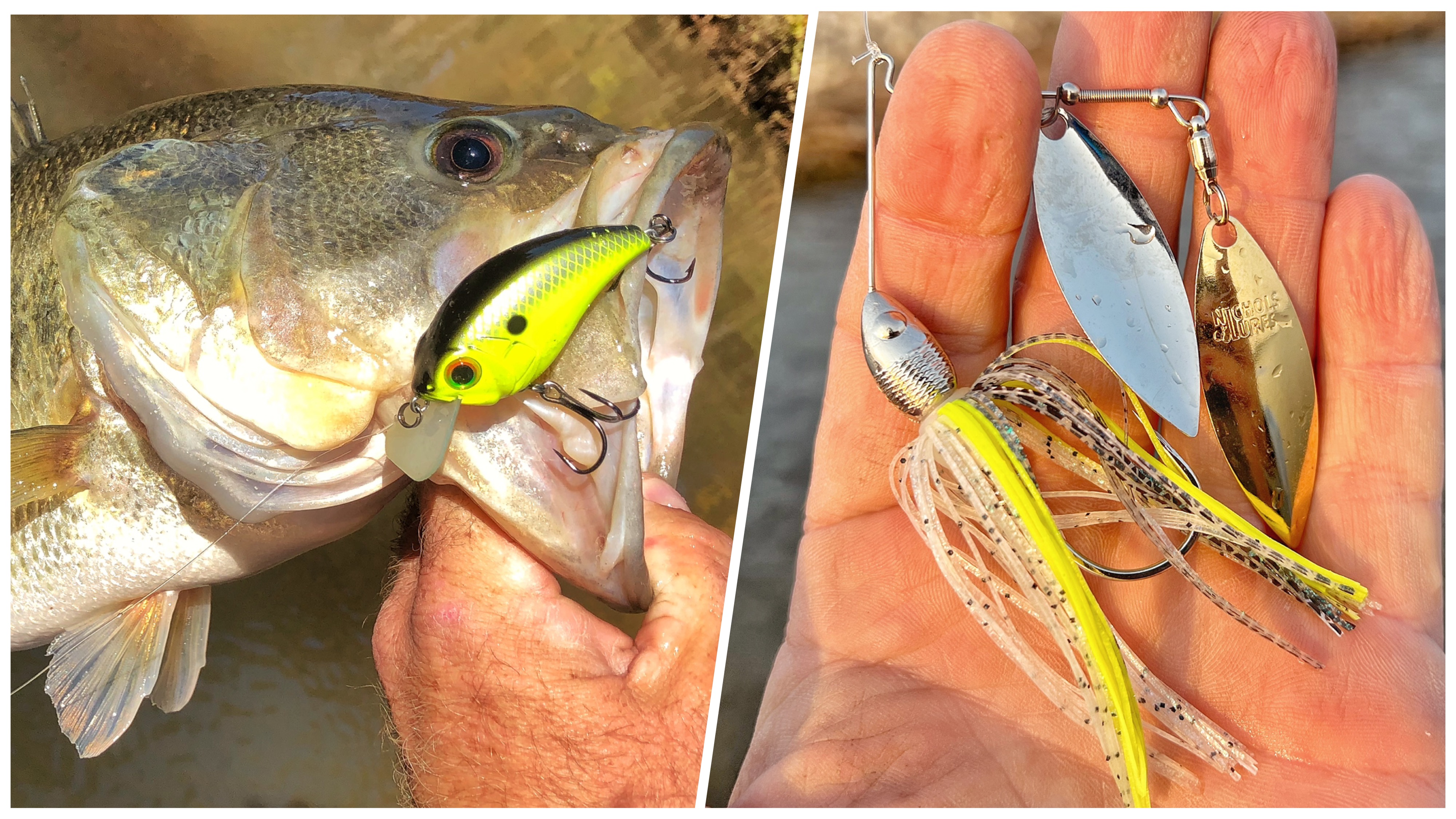 Top 4.3 Baits for Illinois Bass Fishing – The Minimalist Fisherman, image size:4000x2250