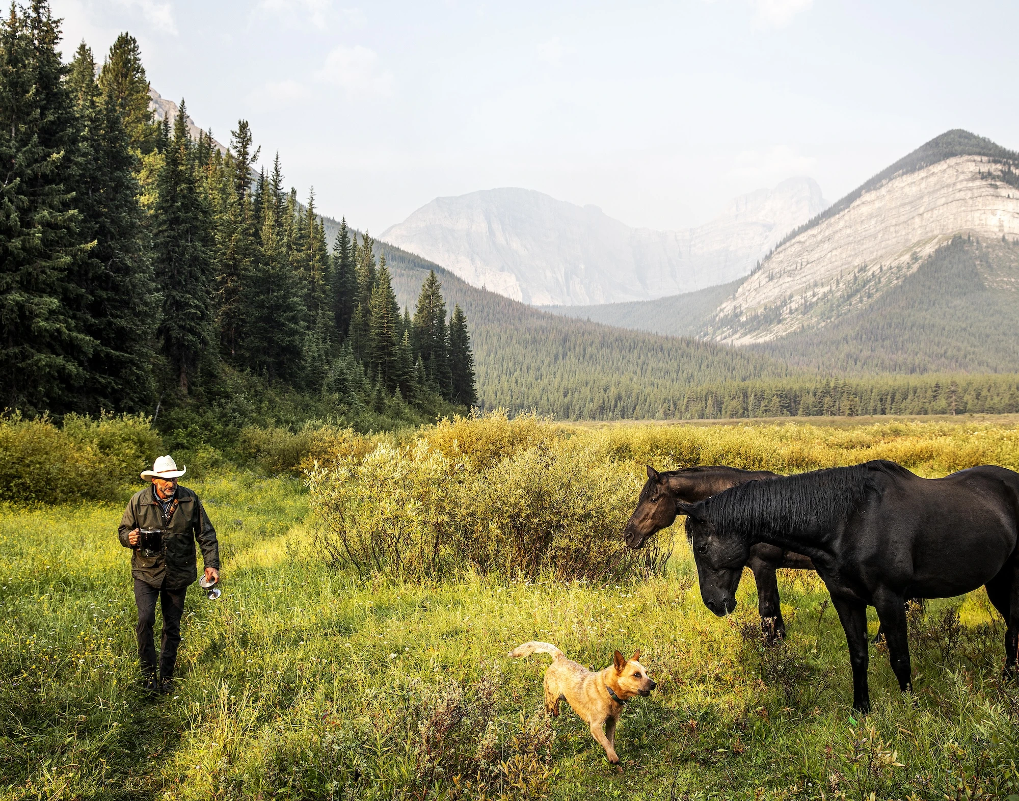 man-dog-horse-bc-wilderness