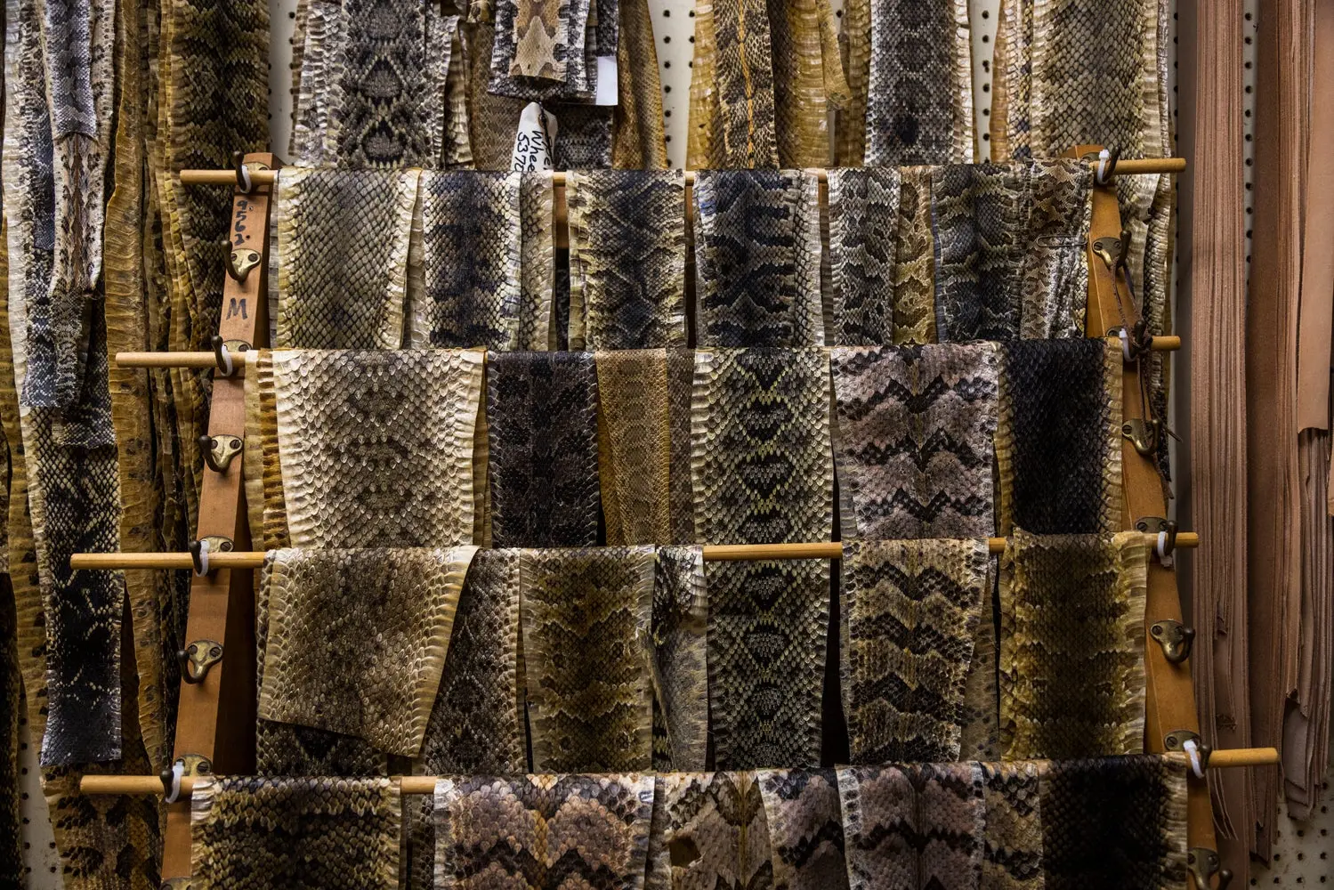 Rack of snakeskins drying.