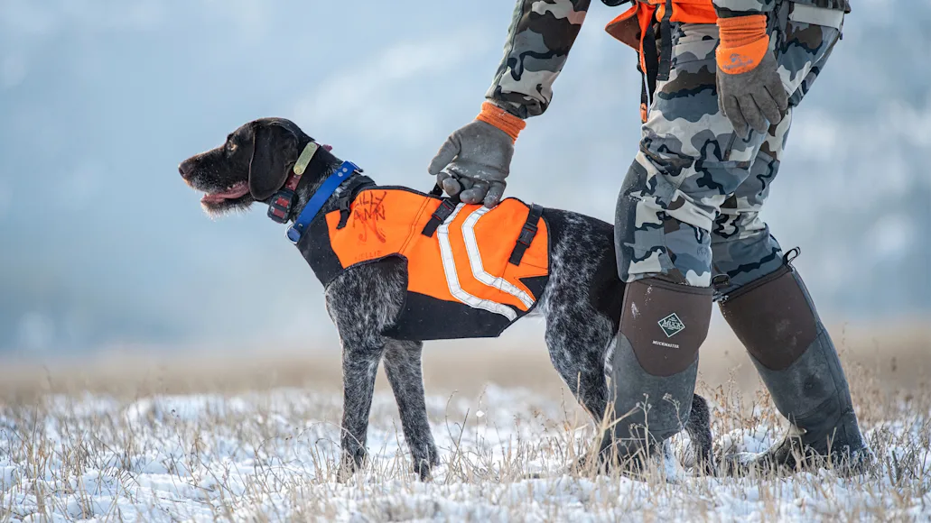 A hunter casts a German shorthair pointer in a winter meadow with mountains in the background.