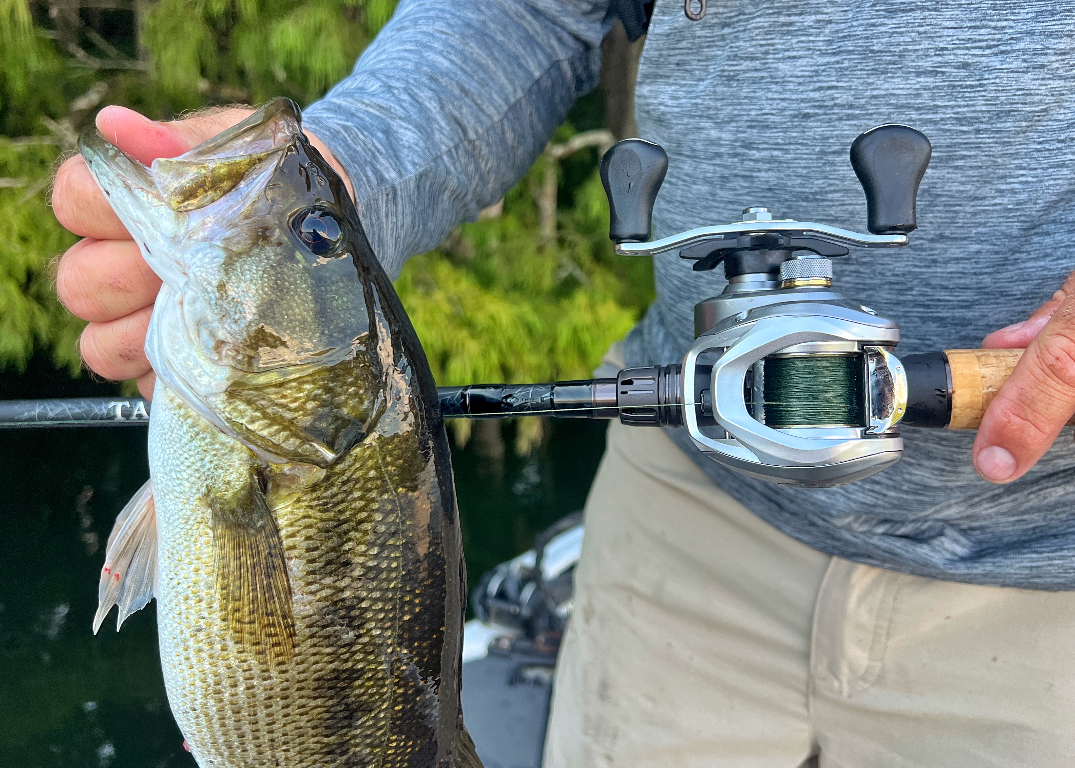 Daiwa Aird 80 casting reel