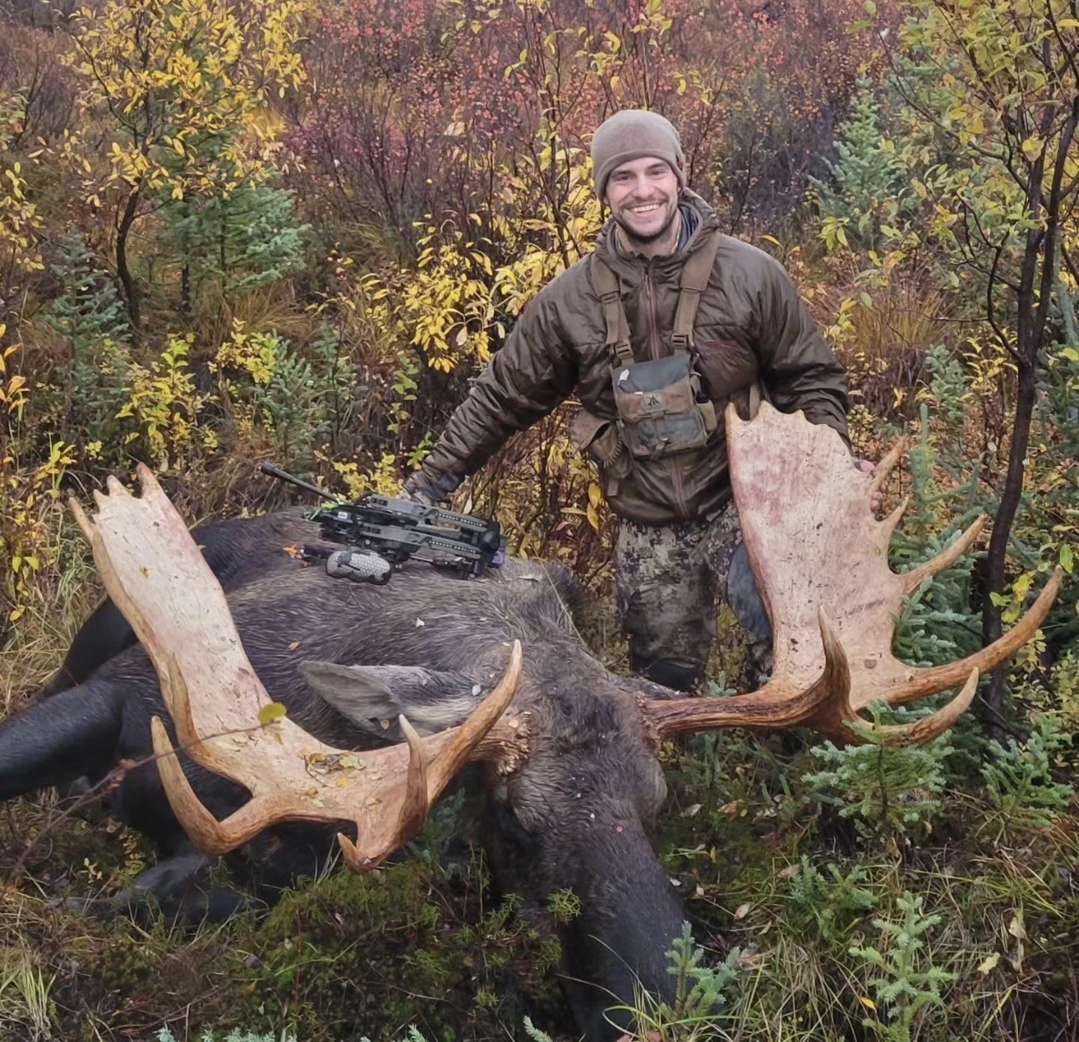 An archery hunter poses with a bull moose taken in Alaska. 