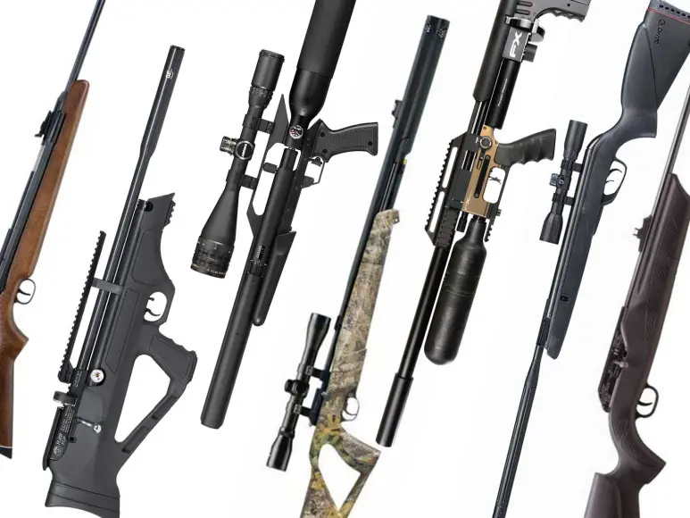 A collage of air guns for squirrel hunting.