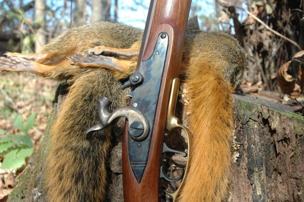 Percussion muzzleloader next to dead squirrels.