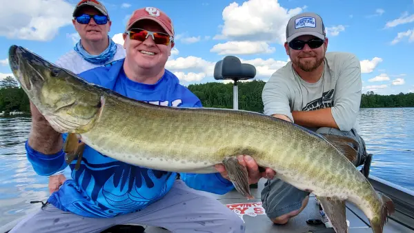 photo of muskie fishing