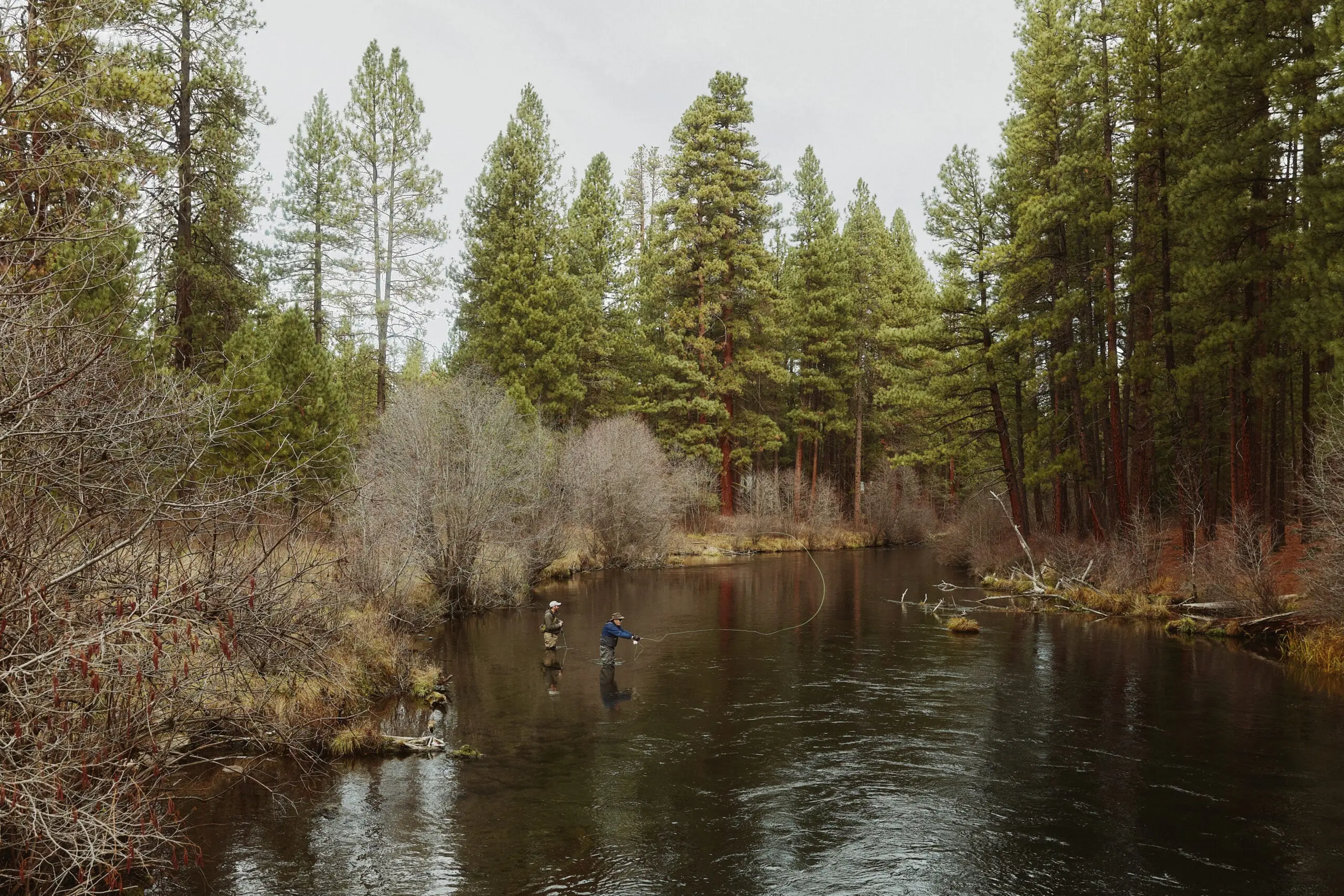 A promising stretch on the Metolius.