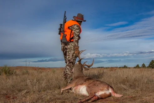 A hunter in with a rifle on his shoulder drags out a nice whitetail buck. 