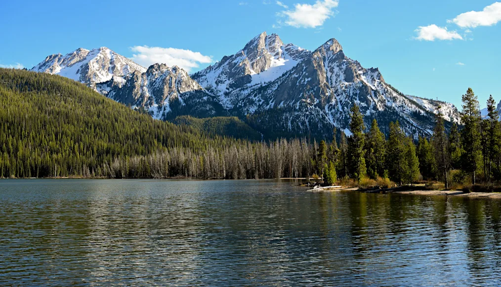 Stanley Lake in Idaho's Sawtooth National Forest.