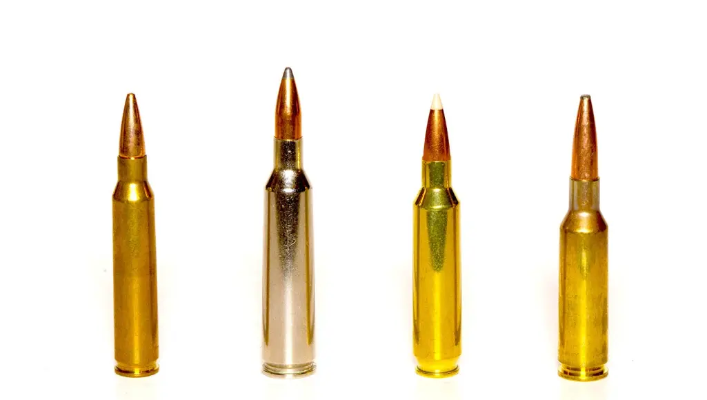 The 4 Best .22-Caliber Cartridges for Deer Hunting | Field