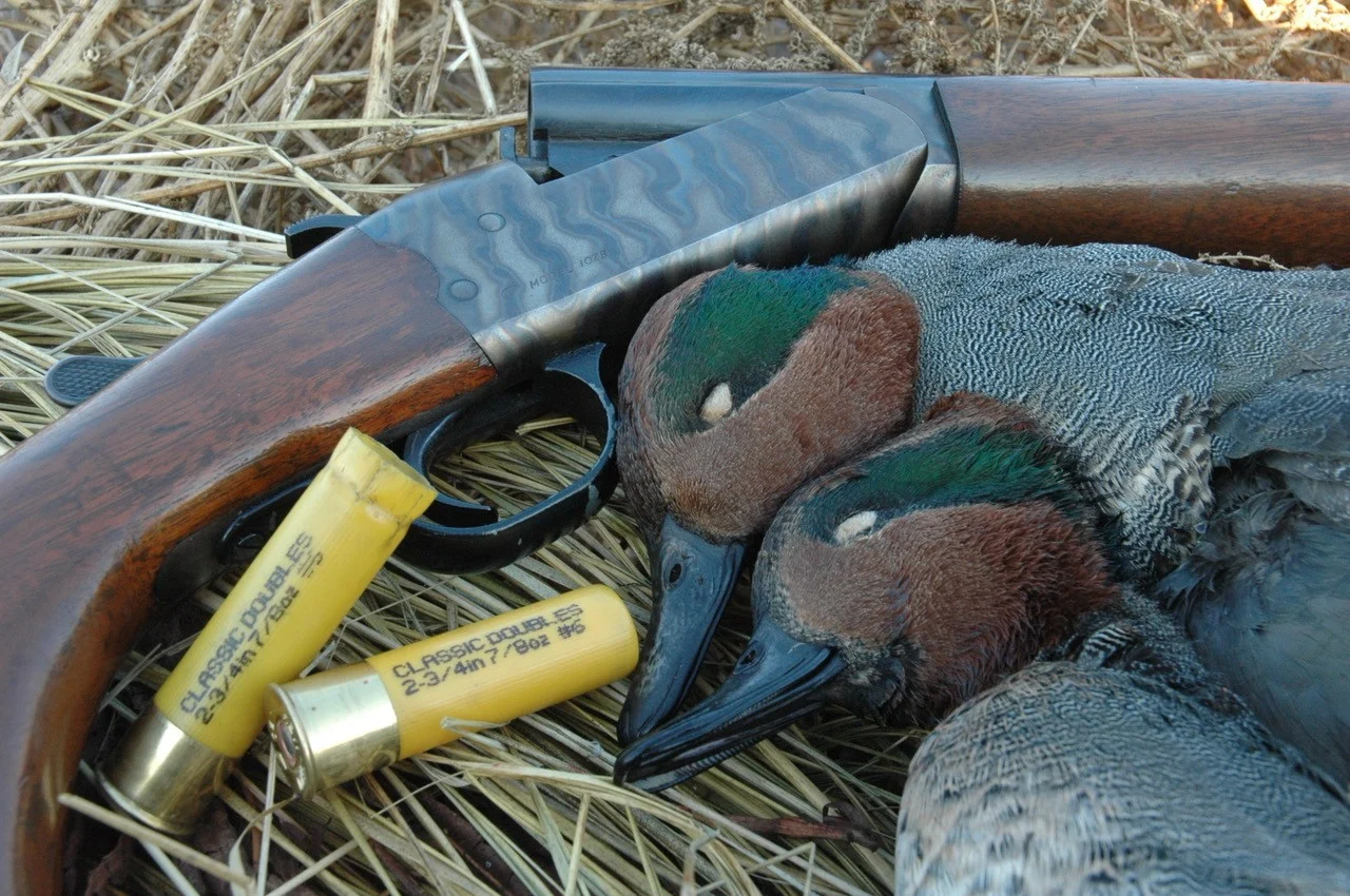 Two drake green-winged teal next to shotgun and empty shells