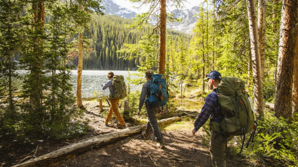 Three hikers walking through scenic woods wearing Kelty backpacking backpacks