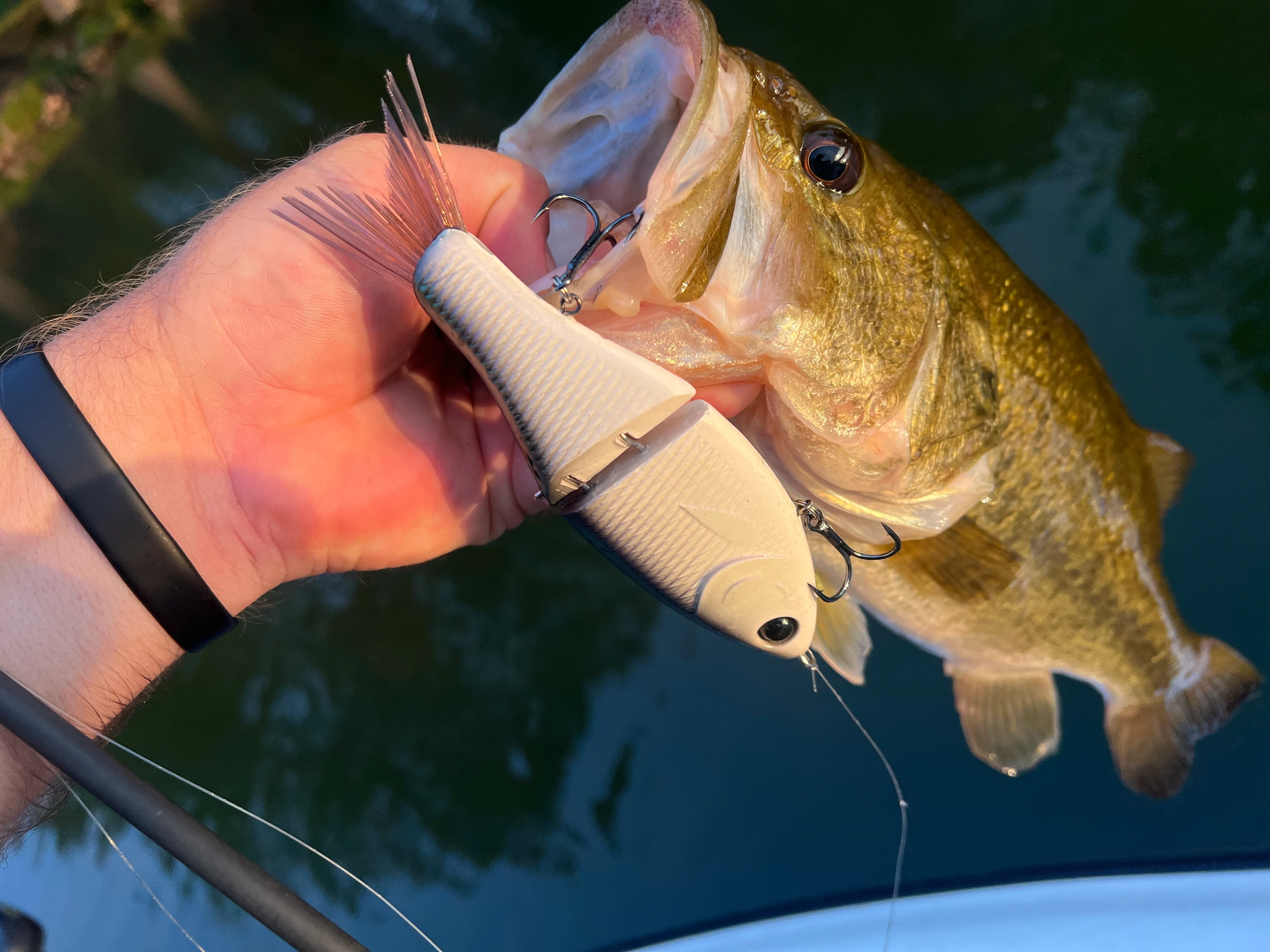 Clutch Eco Glide