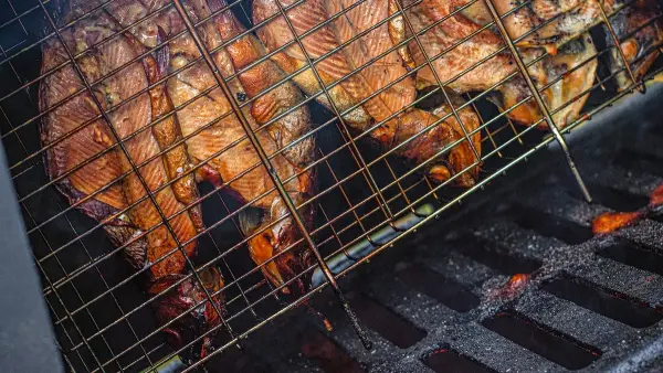 Fish on a rack in a smoker.