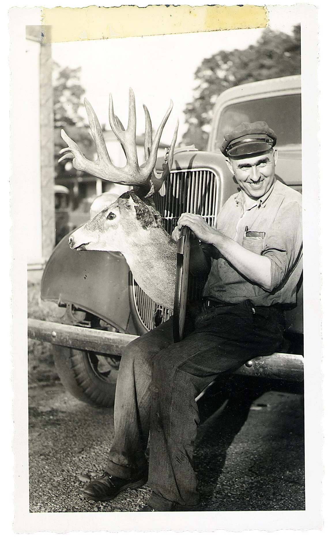 B&amp;C record whitetail deer from new york