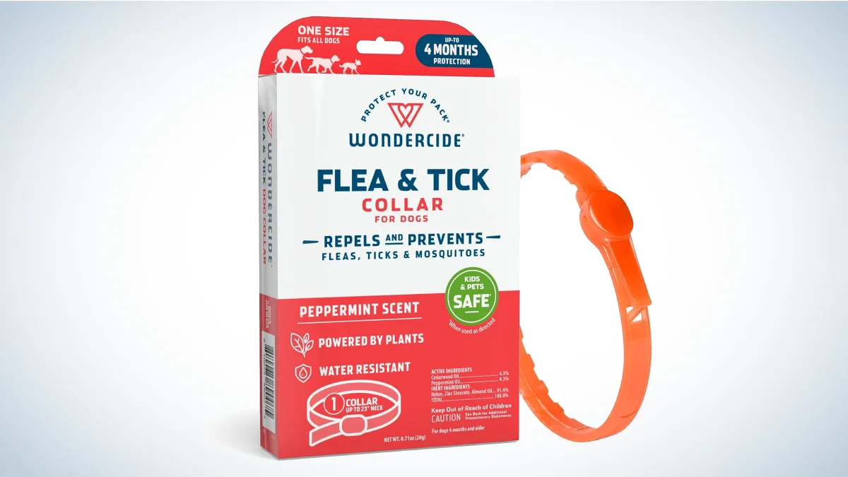 Best Tick Collars for Dogs: Wondercide Flea and Tick Collar