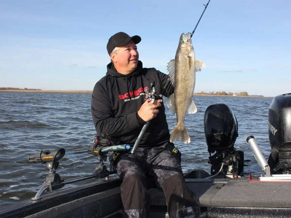 walleye caught in devils lake