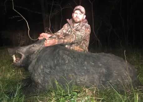 texas wild hog