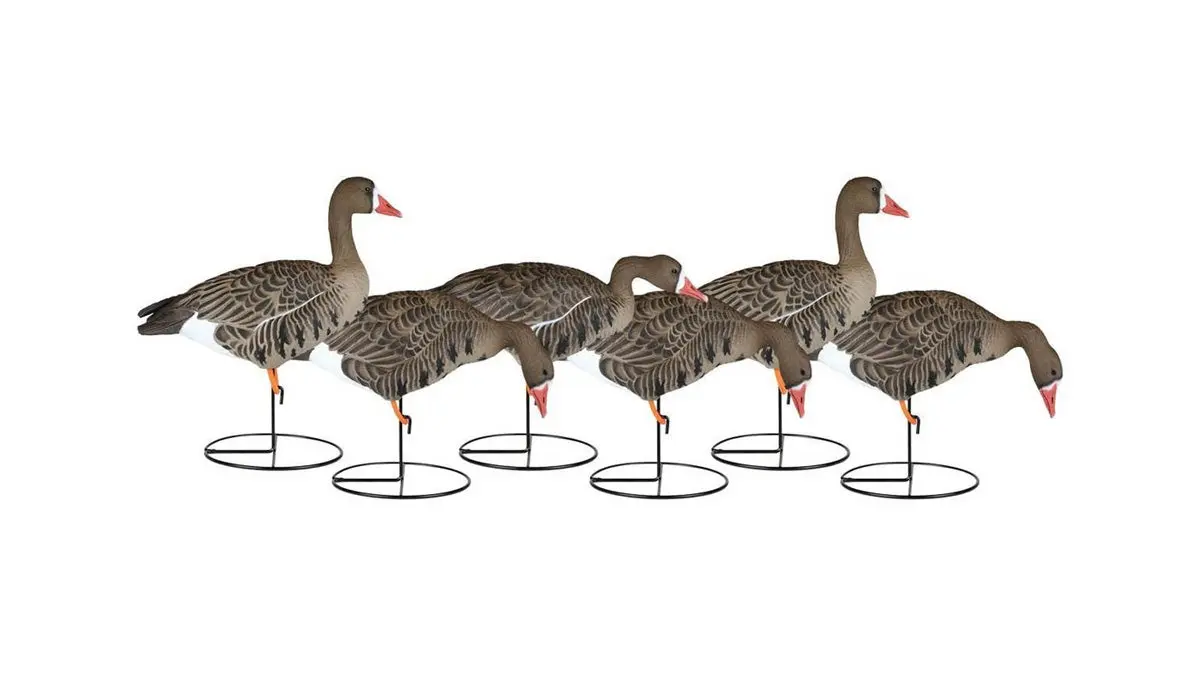 speck decoys