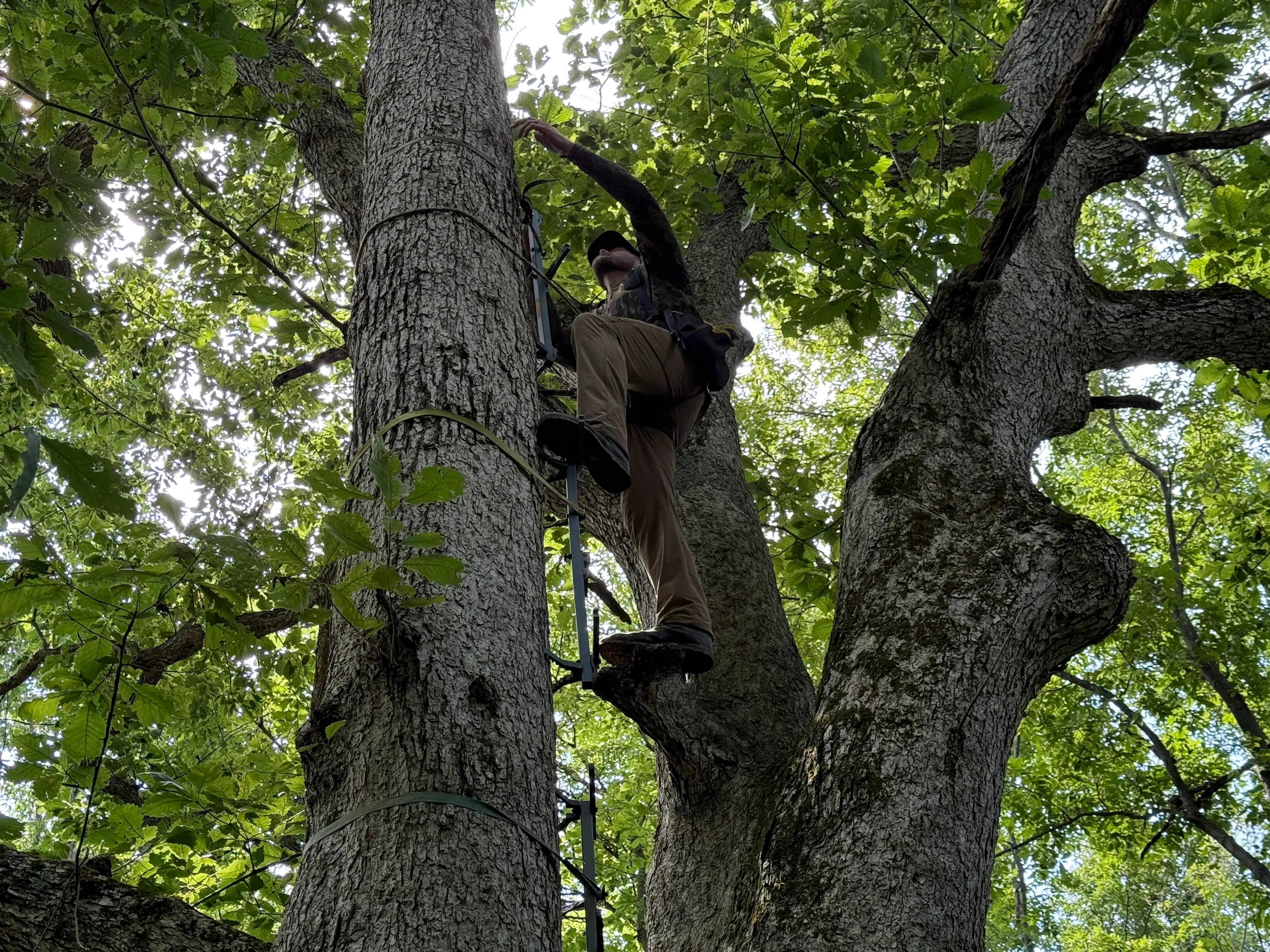 Hunter climbing treestand