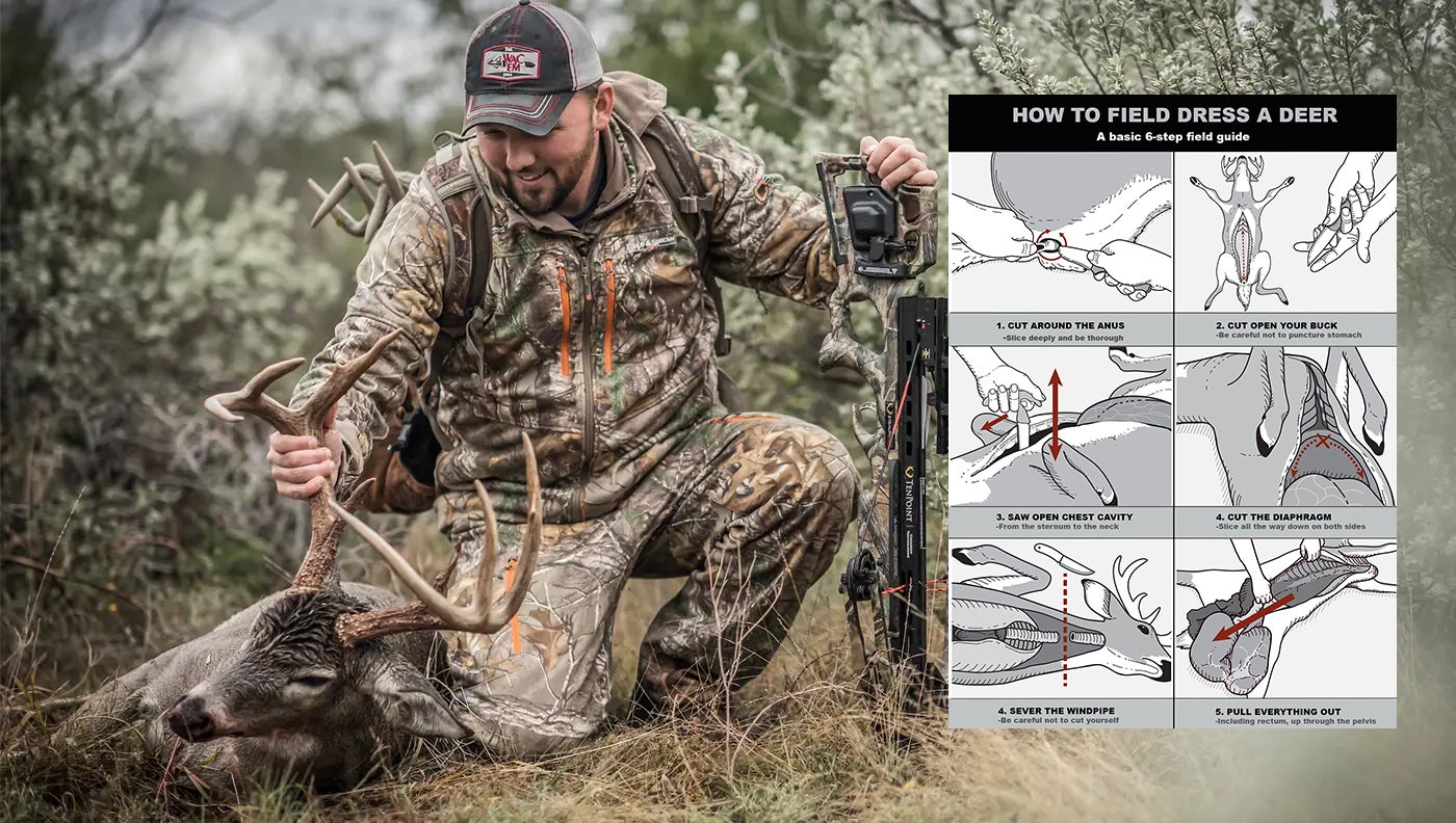 How to Field Dress a Deer, Step-By-Step | Field & Stream