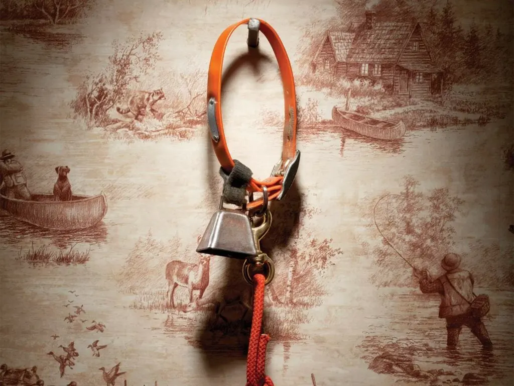 hunting dog collar hanging on a wall