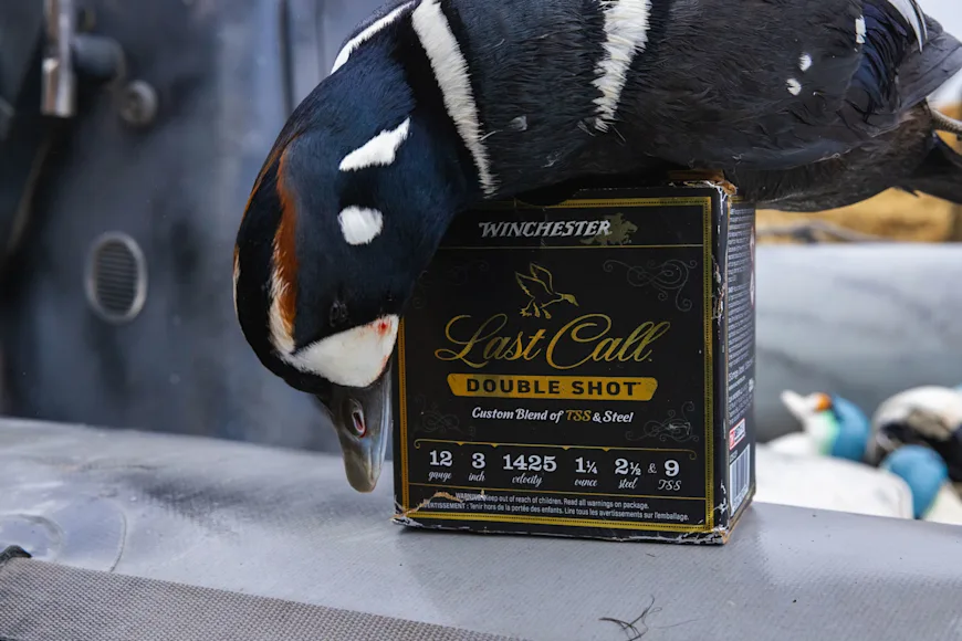 Harlequin on Last Call Double Shot ammo box