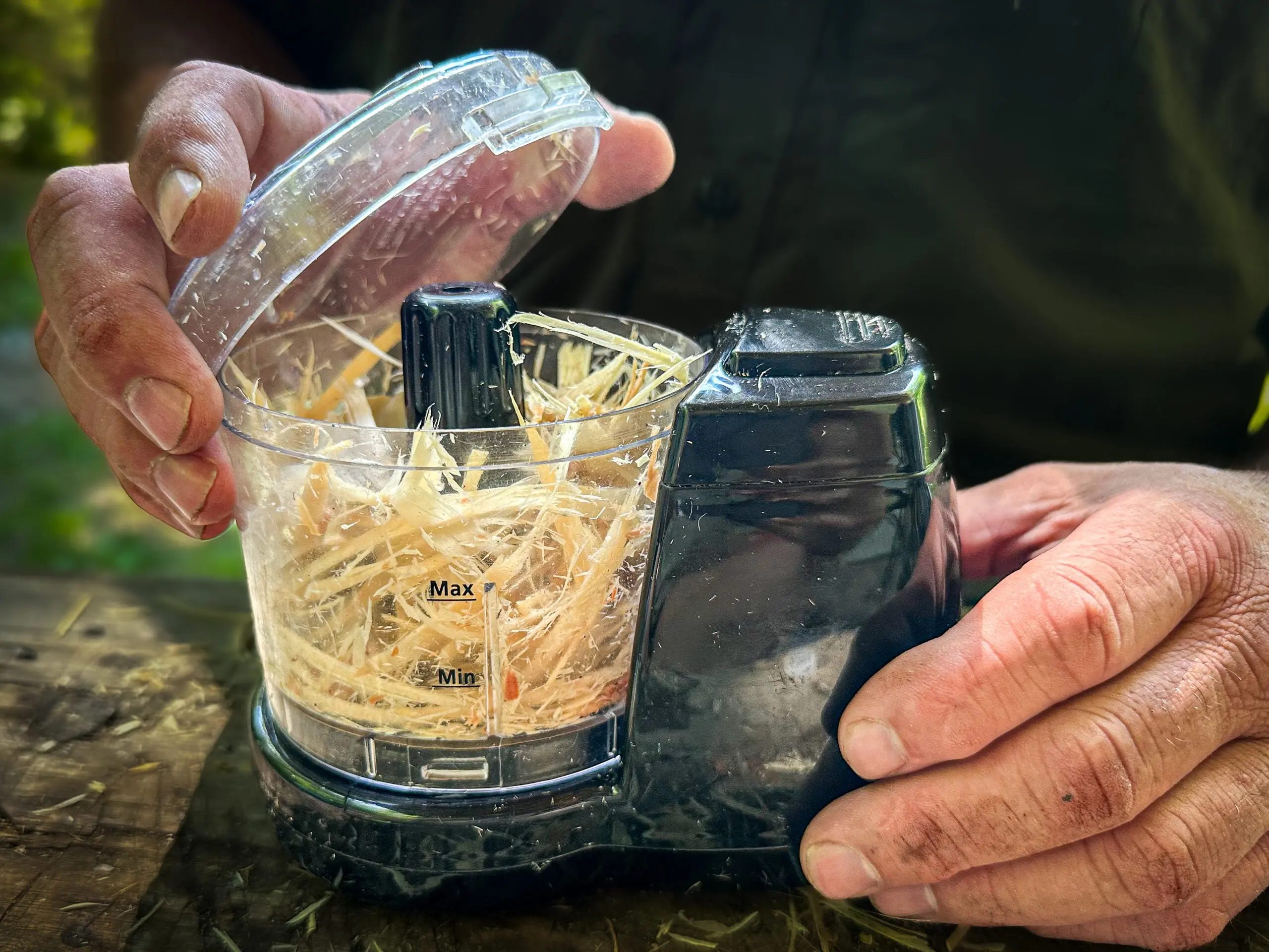 Grinding pine bark in a food processor.