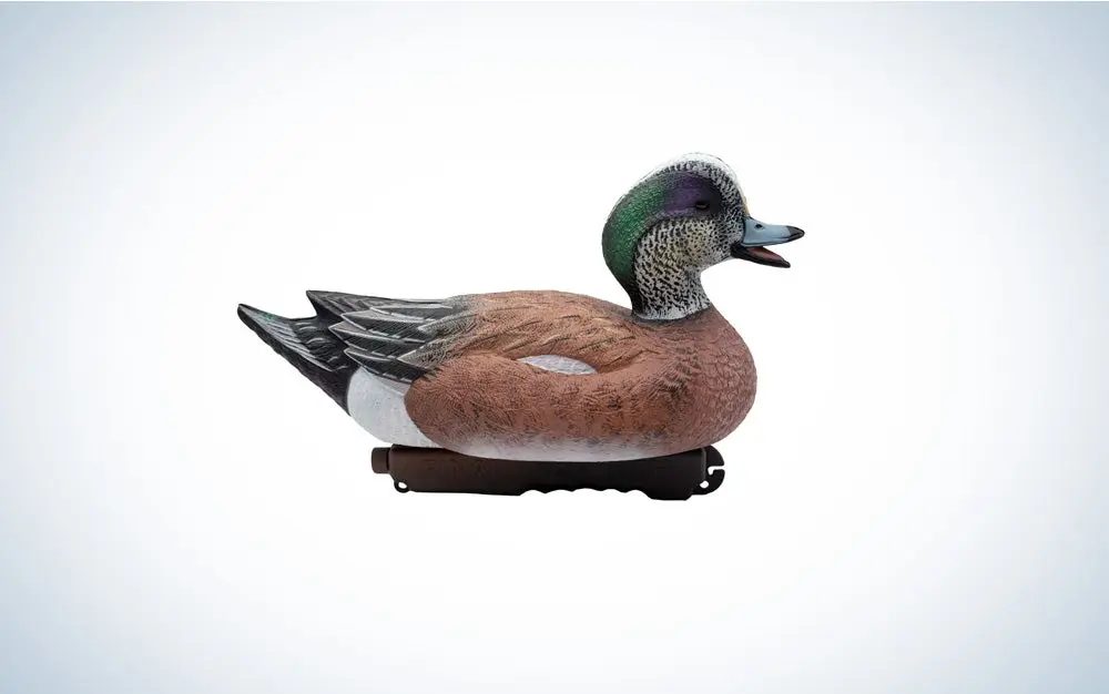wigeon duck decoy on blue and white background