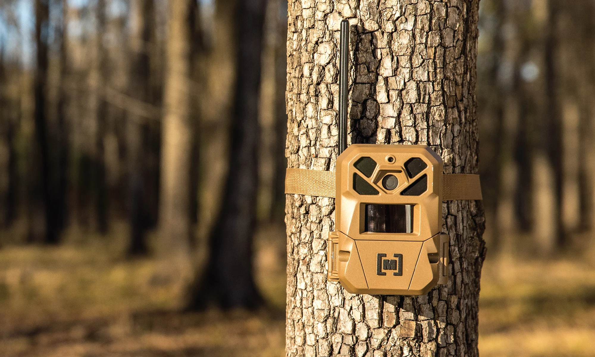 The new Moultrie Mobile Edge 3 trail camera.