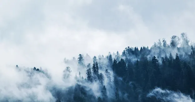 Fog billowing off a misty mountain forest.