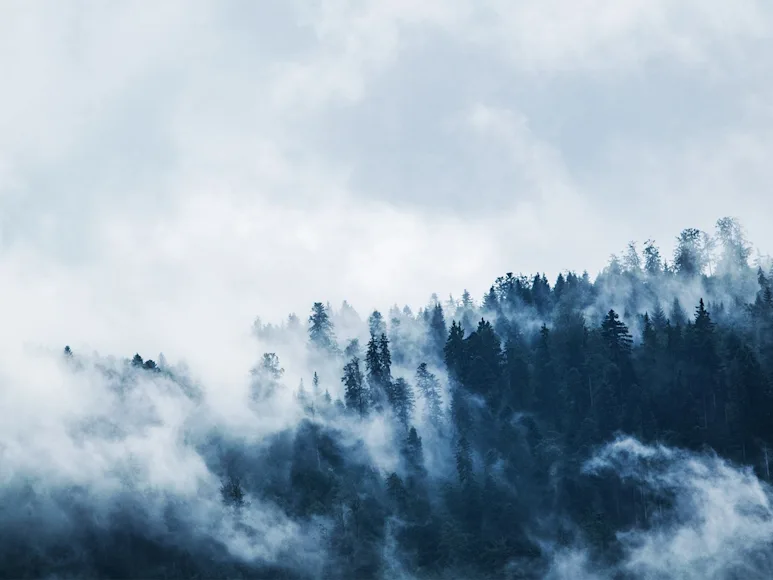 Fog billowing off a misty mountain forest.