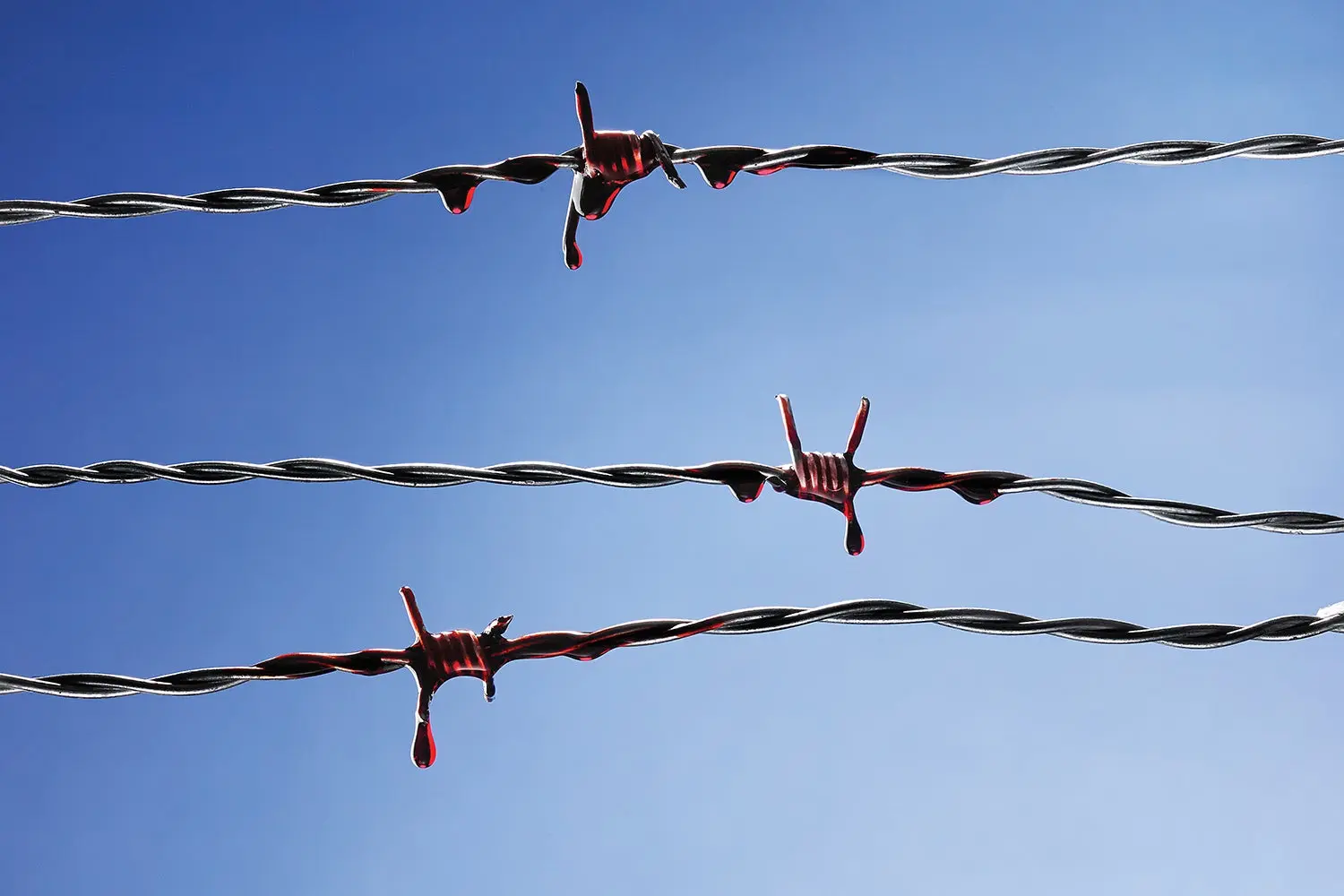 barbed wire with blood dripping from it