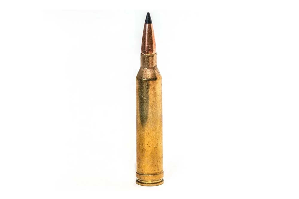 Rifle Ammo photo