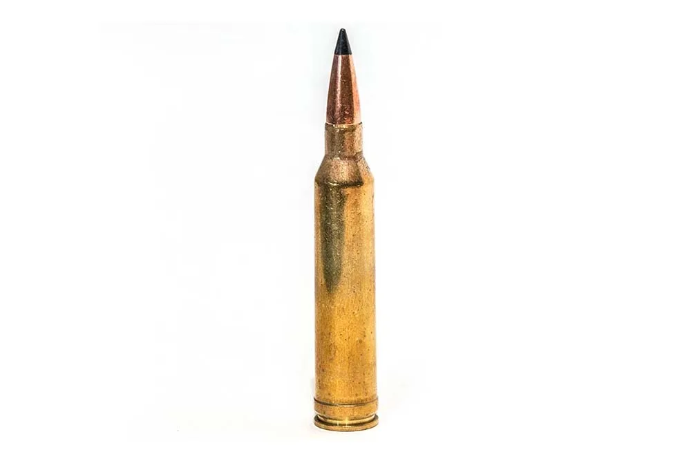 Rifle Ammo photo