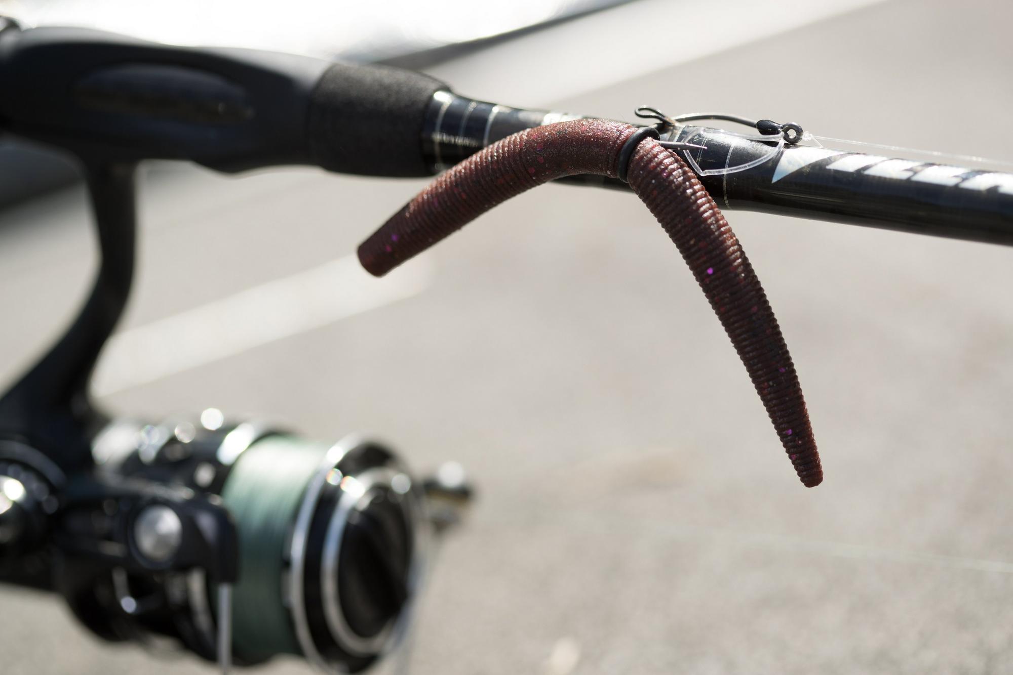 Senko bait on hook keeper