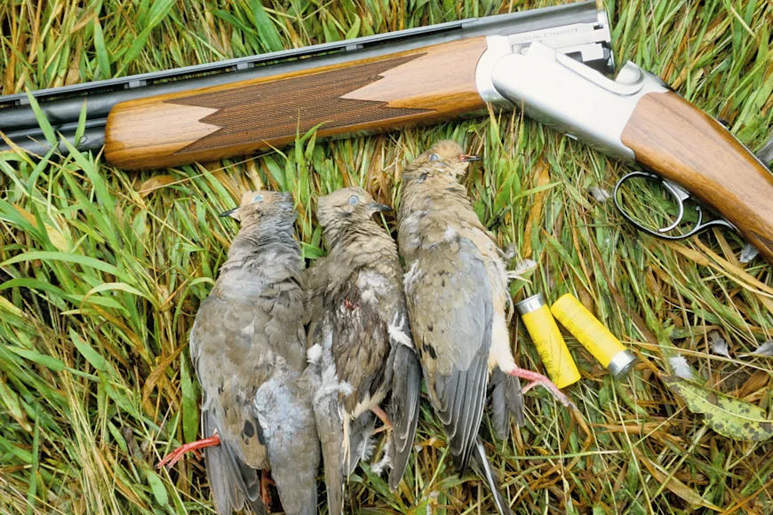 A shotgun and three doves.