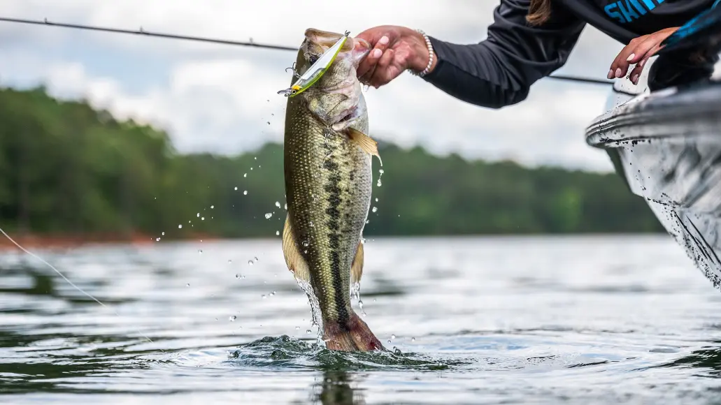 anglers holding up bass