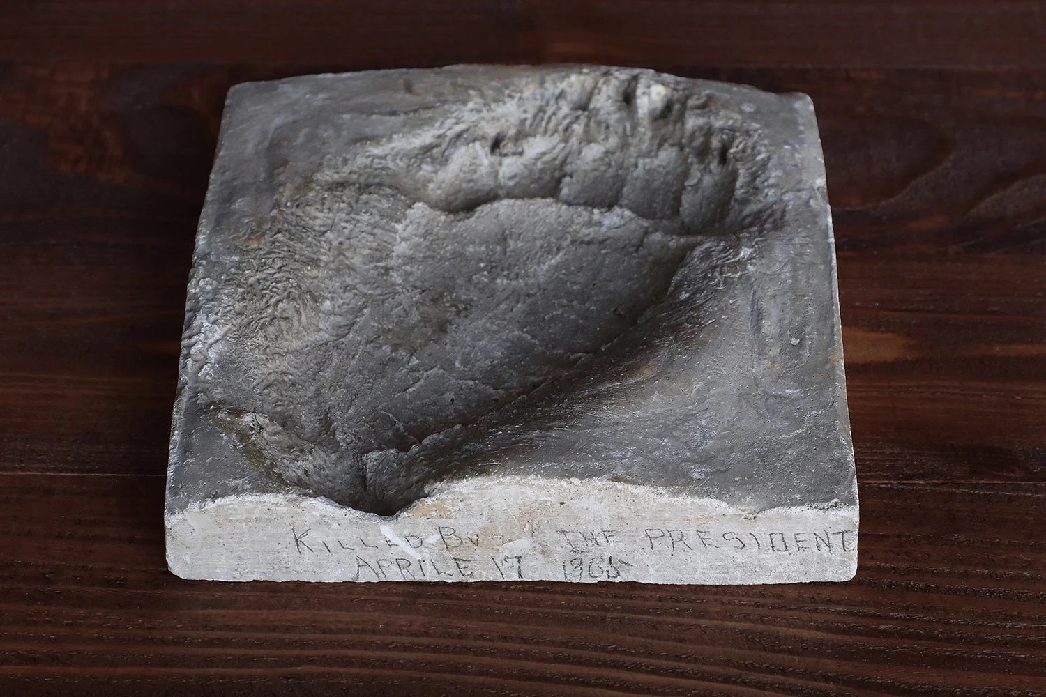 Plaster cast of black bear paw.