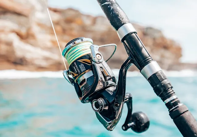 Shimano Spinning Reel