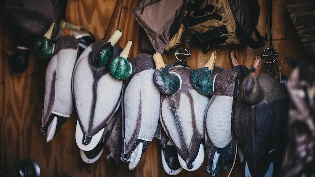 decoys hanging from wall
