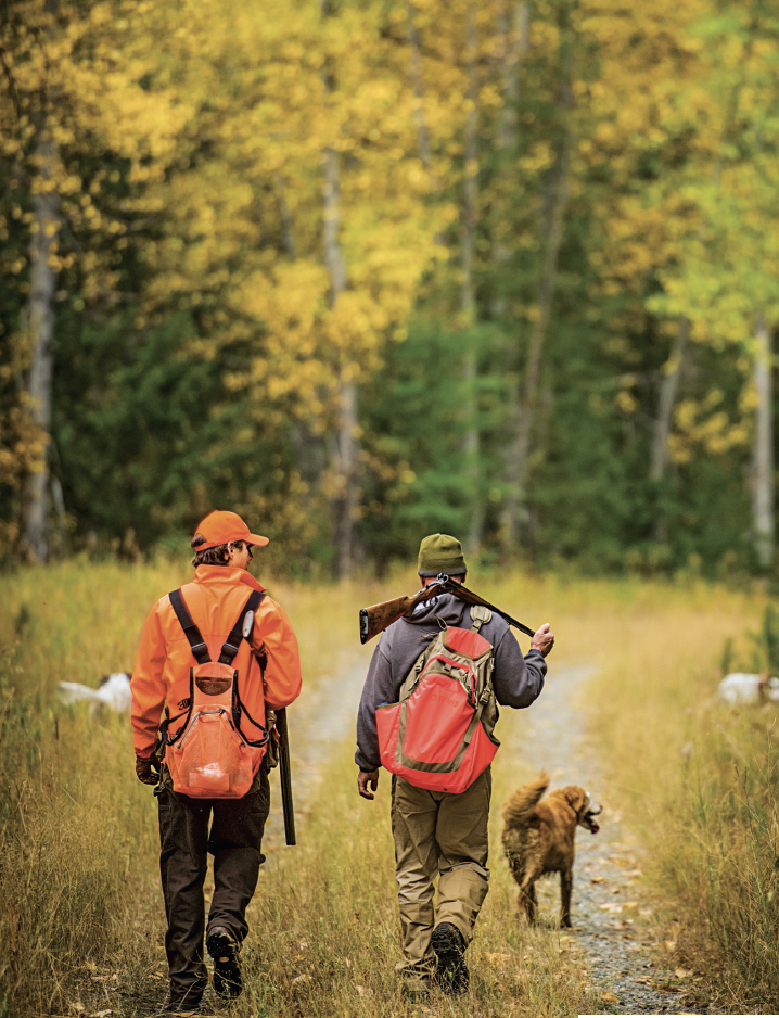 Two grouse hunters walk down a road with a dog ahead of them in the fall.