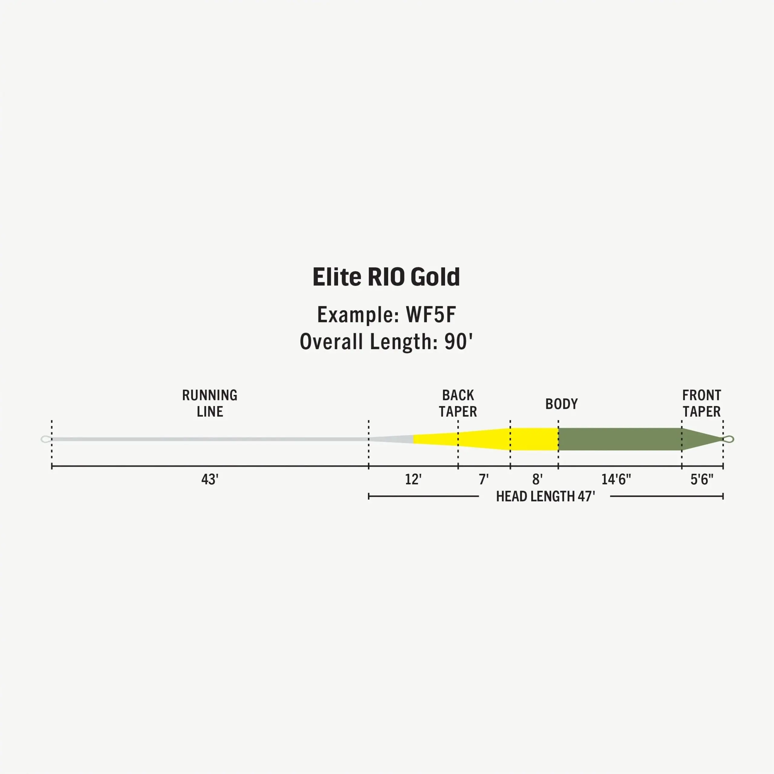 Diagram of fly fishing line.