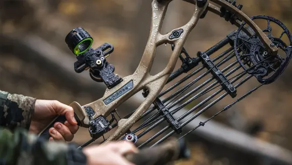 photo of Hoyt RX-7 compound bow