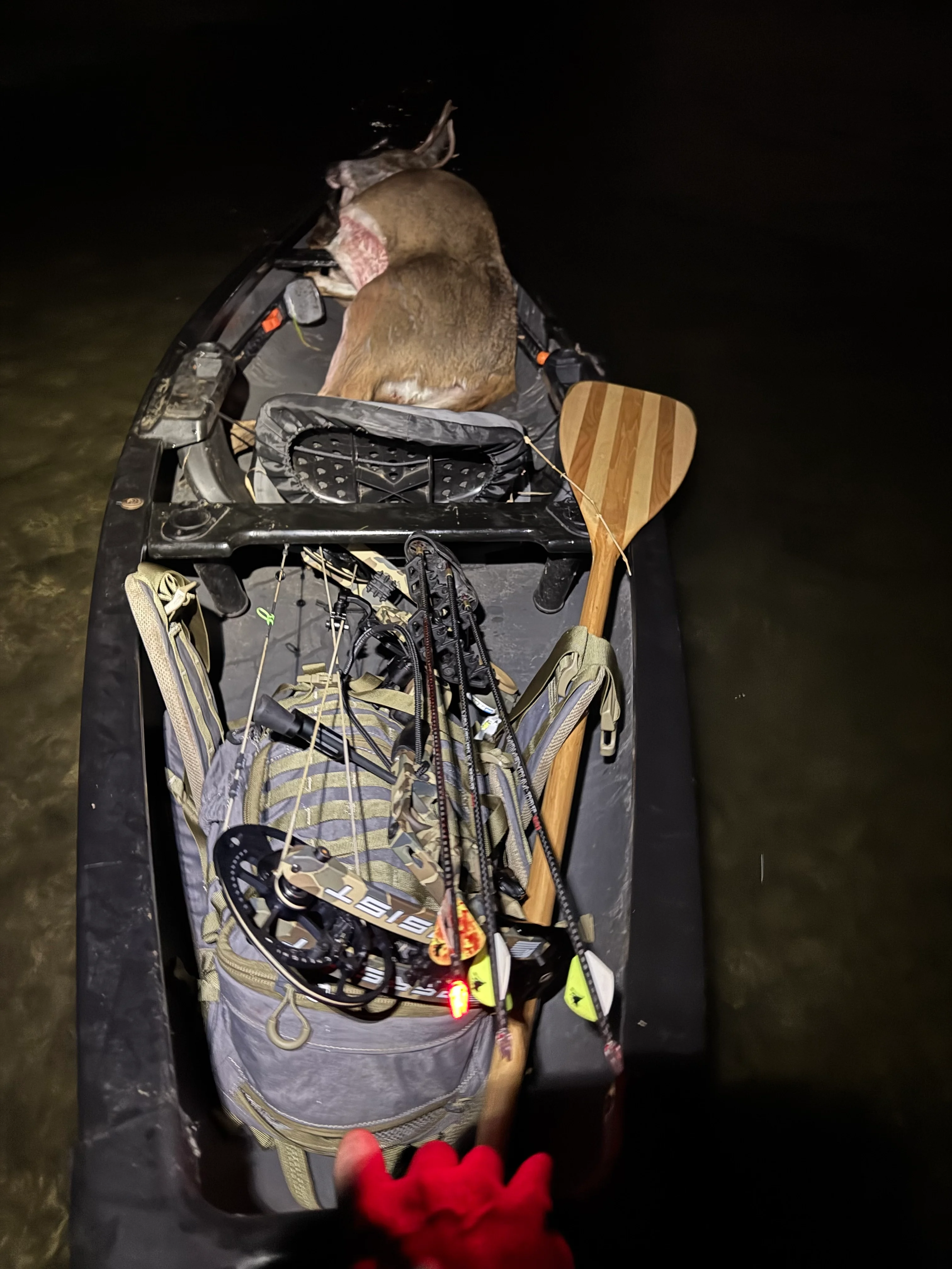 a dead deer in a canoe