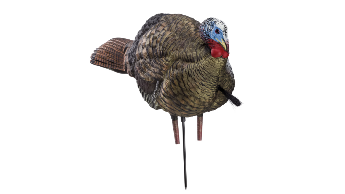 Avian-X LCD Half-Strut Jake Turkey Decoy on white background