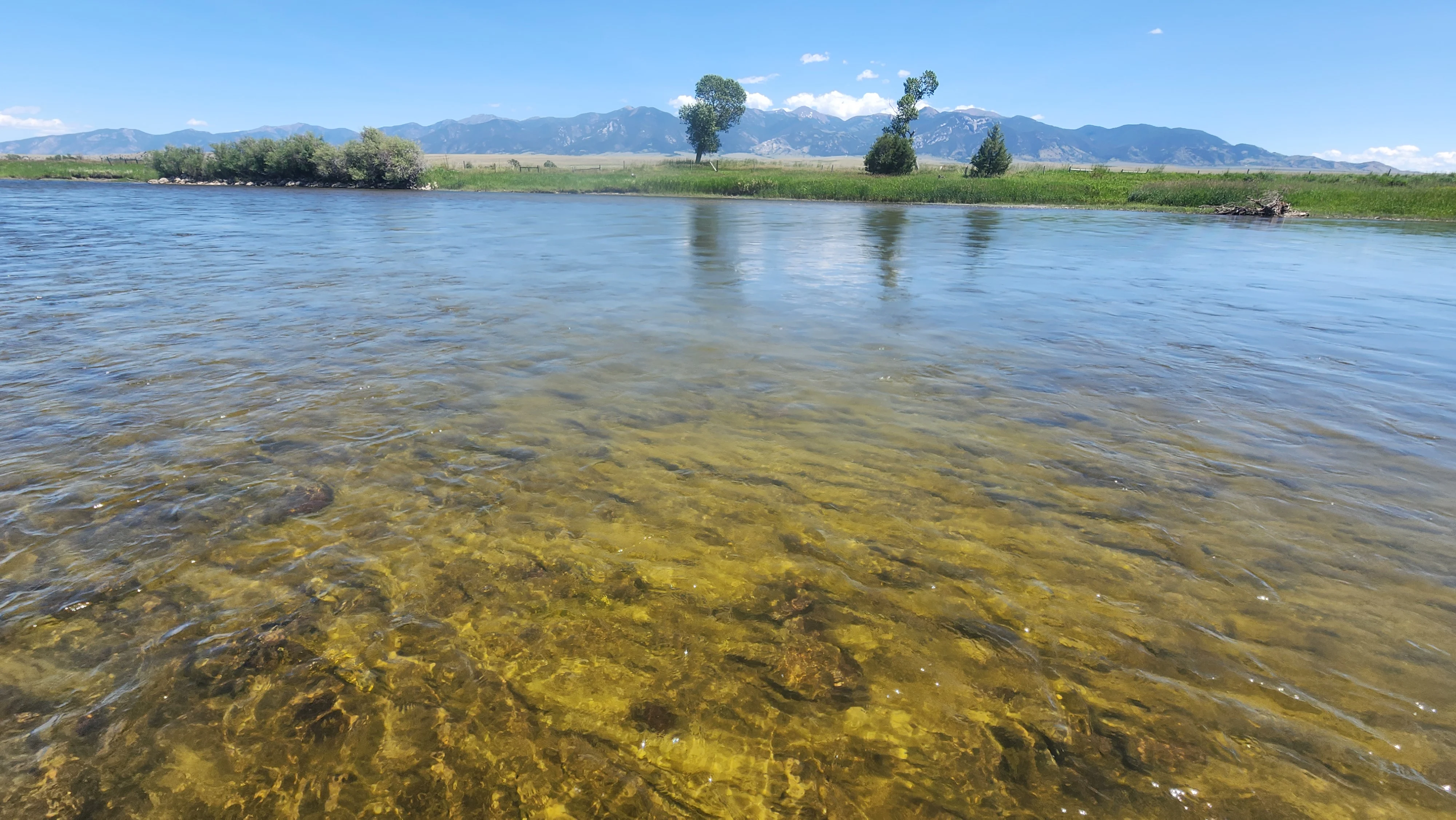 Montana's Jefferson River on June 6, 2025.